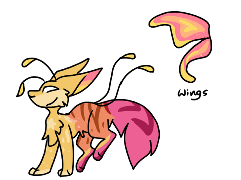 ❂ Flutter ❂