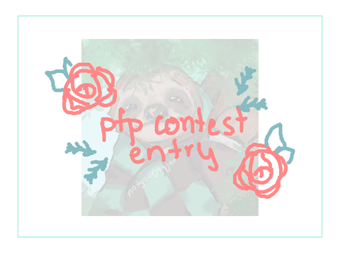 -pfp contest entry-