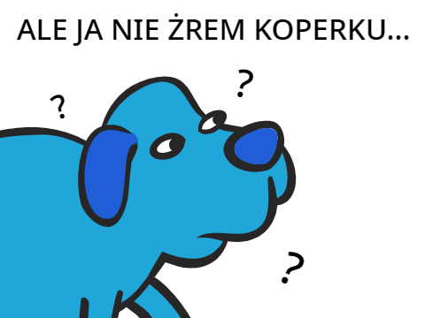 Makłowicz v2