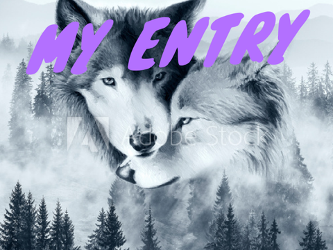MY ENTRY
