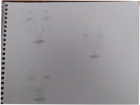 My Sketchbook