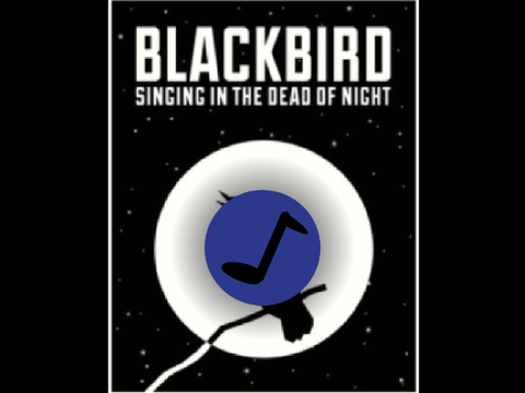 Blackbird Played With Noteblocks