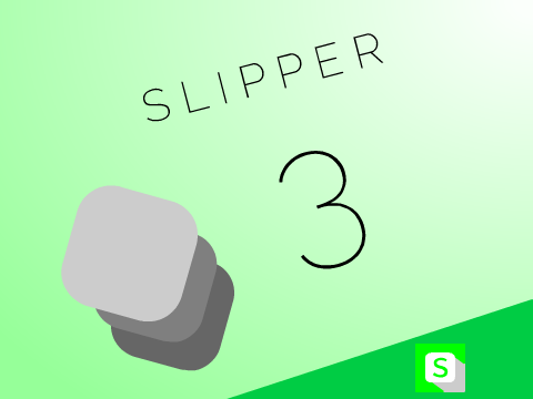 Slipper 3