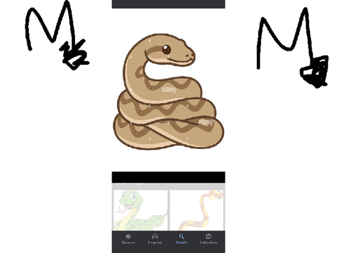 Zodiac Pet DTA