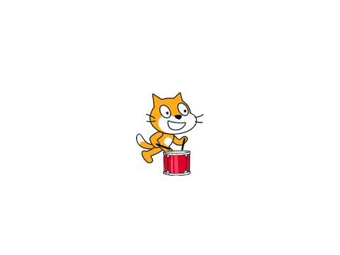 Cat playing drum 
