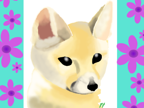 ART CONTEST ENTRY