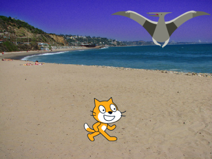 Beach Cleanup