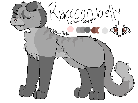 RaccoonBelly • ShallowClan