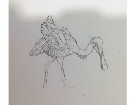 Wip 