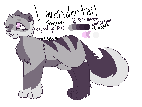 Lavendertail • ShallowClan