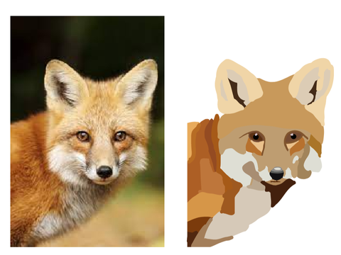 Fox Blockshade 