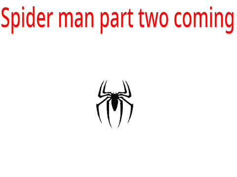 spider cat