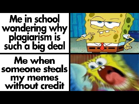Daily does of memes -Day 1