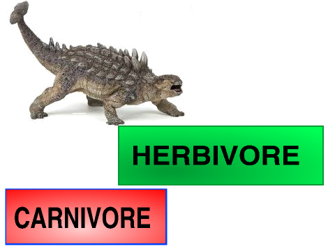 Dino Diets