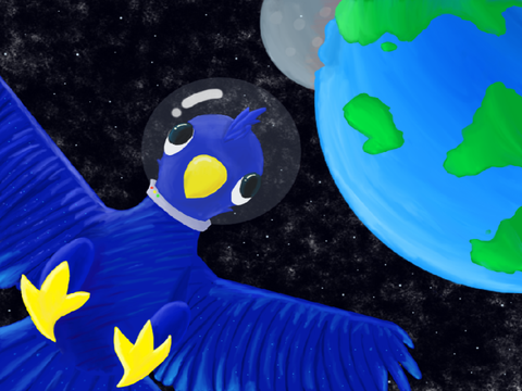 Pesky bird made it