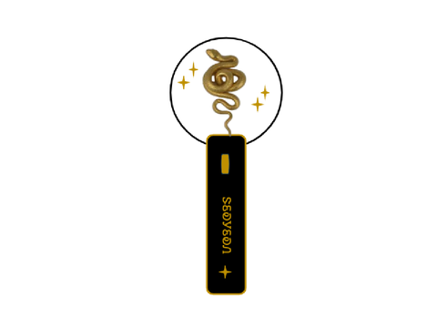Seoyeon’s Lightstick