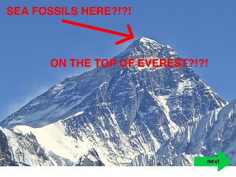 Sea fossils on EVEREST!?!?!?!?!?!?!?!?!?