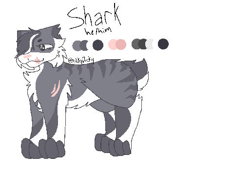 Shark • ShallowClan