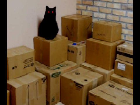 meow