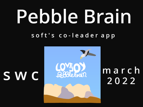 pebble brain ♫ coleader app