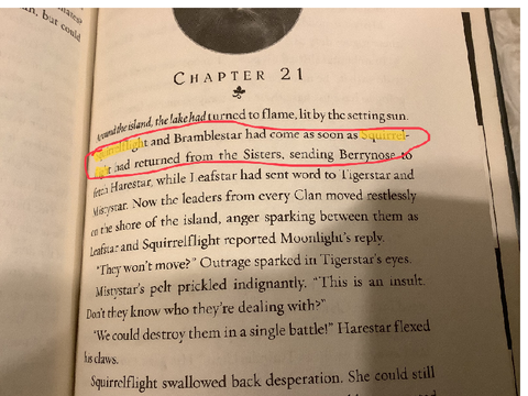 There Are Two Squirrelflights In Squirrelflight’s Hope???