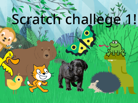 Scratch challenge 1! (Important please watch).