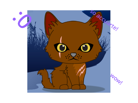 Moup but I used the Warriors "cat maker" game