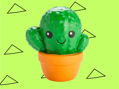 squishy cactus