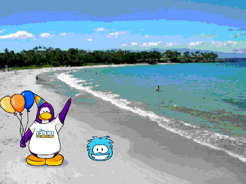 Penguin around the world