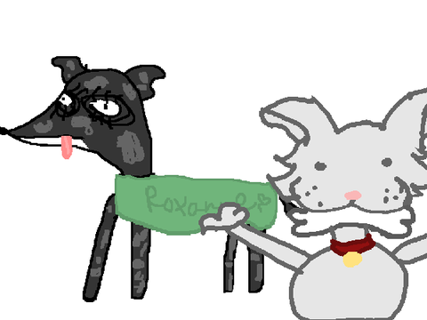 dog