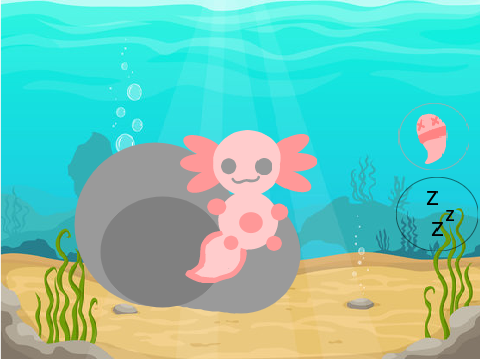 ╰☆Adopt An Axolotl╰☆ Interactive game