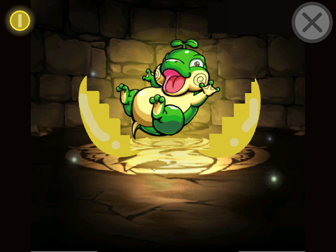 DragonPet　ドラゴンペット