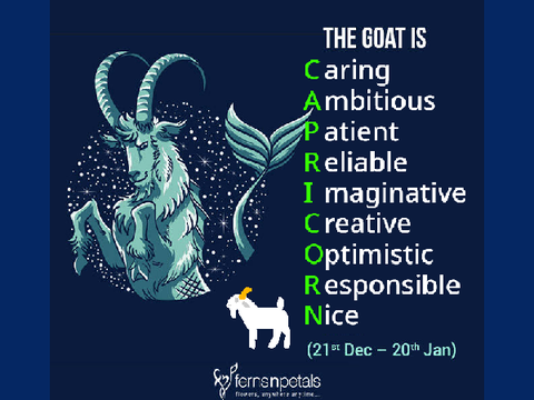 Capricorn (the real one)