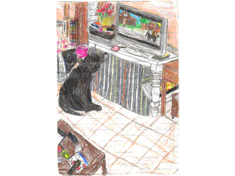 How I Really Draw Dogs!!!!!