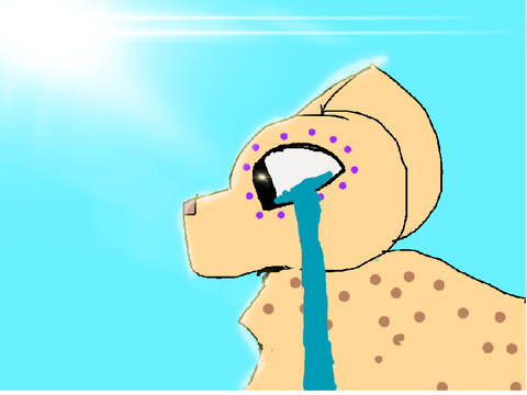 Random Animation