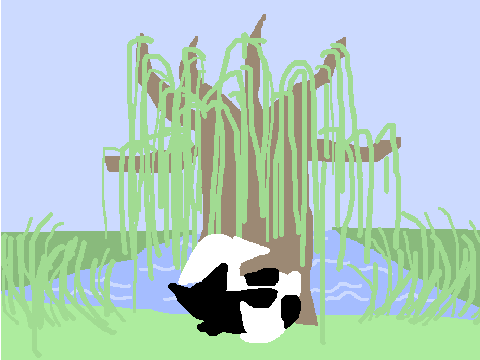 ᎳᎥᏞᏞᎾᎳ|| 3, 4 & 11