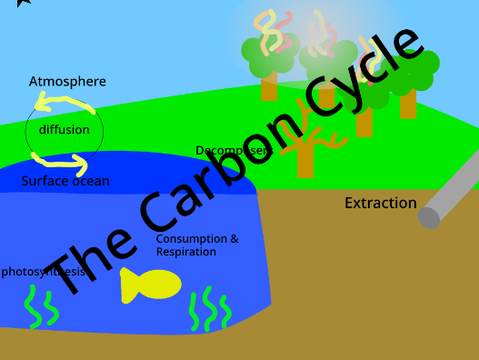 The Carbon Cycle