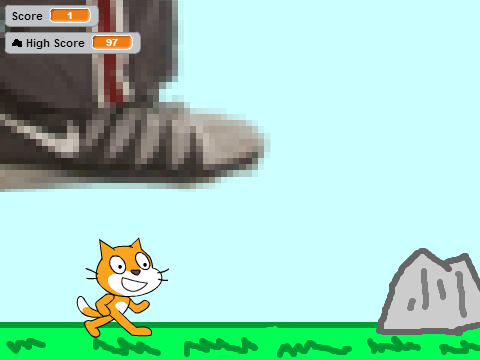 Cat Run