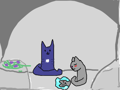 Stormpaw's Story 5