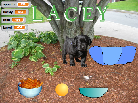 VIRTUAL DOG GAME