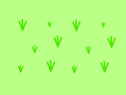 Grass