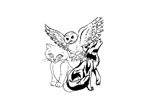My Spirit Animals
