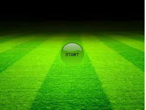 goalkeeper