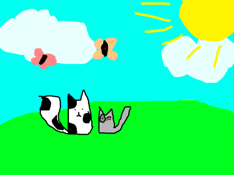 Duskflight, binbabin84's Warrior Cat OC