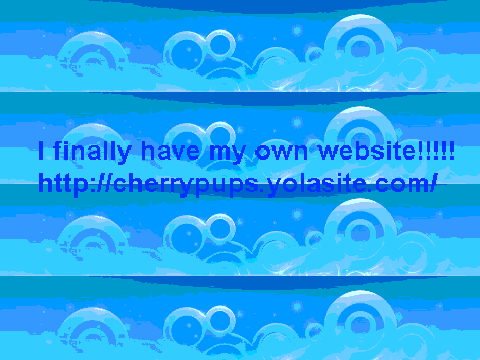New Website!!! You Can Blog!!!!