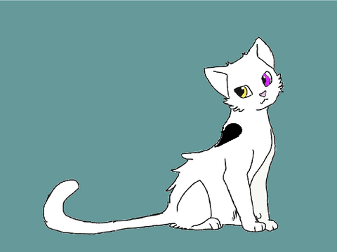 Mon chat lgdc, clan des ailes