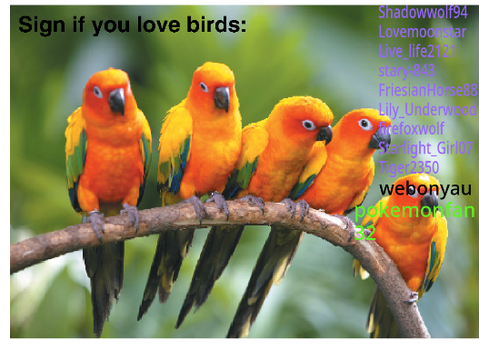 Sign if you love birds! remix