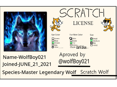 AgentNight_Walker01's Scratch License 