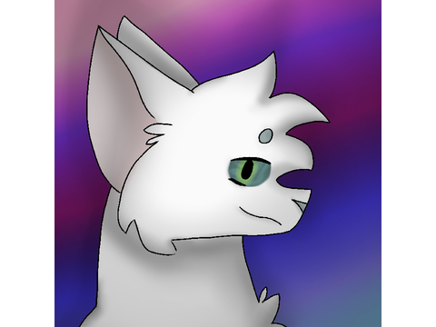 New PFP again