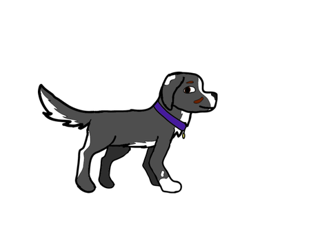 Profile Contest Entry